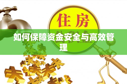 衢山如何保障资金安全与高效管理